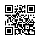 QR CODE 42