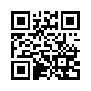 QR CODE 53