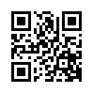QR CODE 317