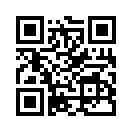 QR CODE 110