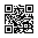 QR CODE 120