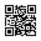 QR CODE 31