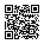 QR CODE 17