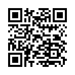 QR CODE 21
