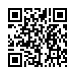 QR CODE 25