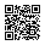 QR CODE 26