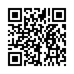 QR CODE 27