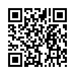 QR CODE 28