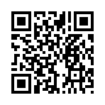 QR CODE 29