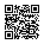 QR CODE 30