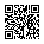 QR CODE 32
