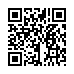 QR CODE 33