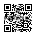 QR CODE 38