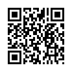 QR CODE 40