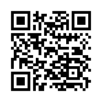 QR CODE 41