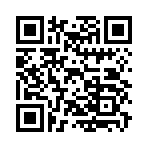 QR CODE 42