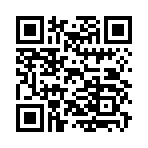QR CODE 43