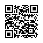 QR CODE 45