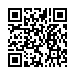 QR CODE 48