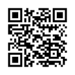 QR CODE 49