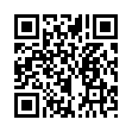 QR CODE 53