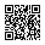 QR CODE 55