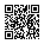 QR CODE 58