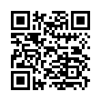 QR CODE 63