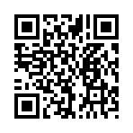 QR CODE 65