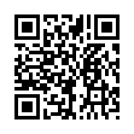 QR CODE 66