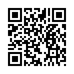 QR CODE 81