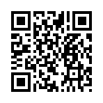 QR CODE 85