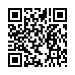 QR CODE 88