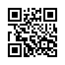 QR CODE 42
