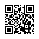 QR CODE 110