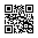 QR CODE 133