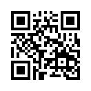 QR CODE 31