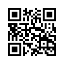 QR CODE 317