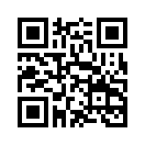 QR CODE 329