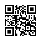 QR CODE 336