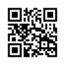 QR CODE 394