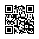 QR CODE 461