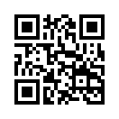 QR CODE 494