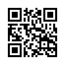 QR CODE 519