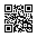 QR CODE 528
