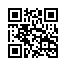 QR CODE 529