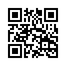 QR CODE 553