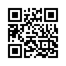 QR CODE 17