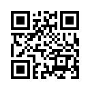 QR CODE 110