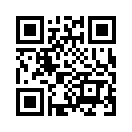 QR CODE 133